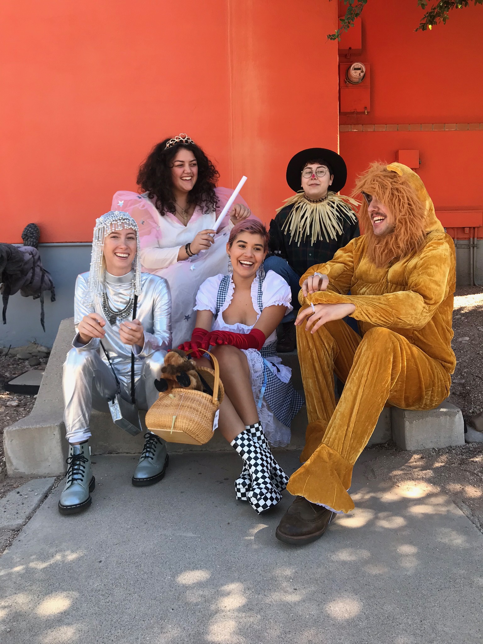 Wizard of Oz Group Costume, Glenda the Good WItch, Tin Man, Scarecrow, Cowardly Lion, Dorothy, Costumes for Halloween 2020