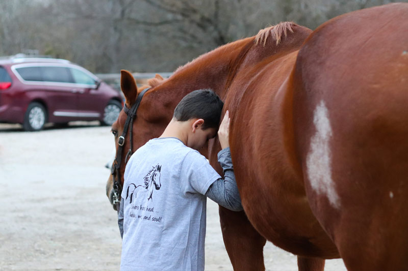 Buffalo Exchange Tokens for Bags Healing with Horses