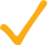 Gold colored checkmark