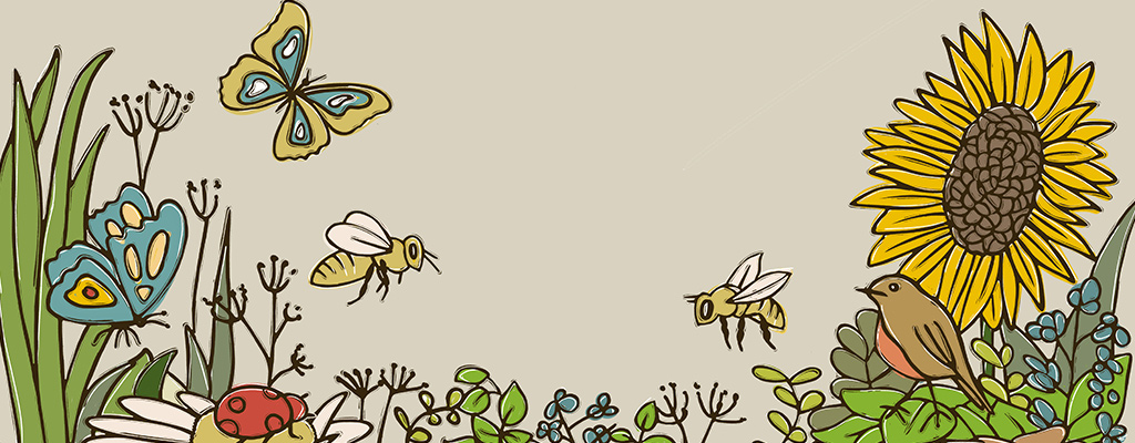 Hand drawn illustration of some insects, flowers and a bird