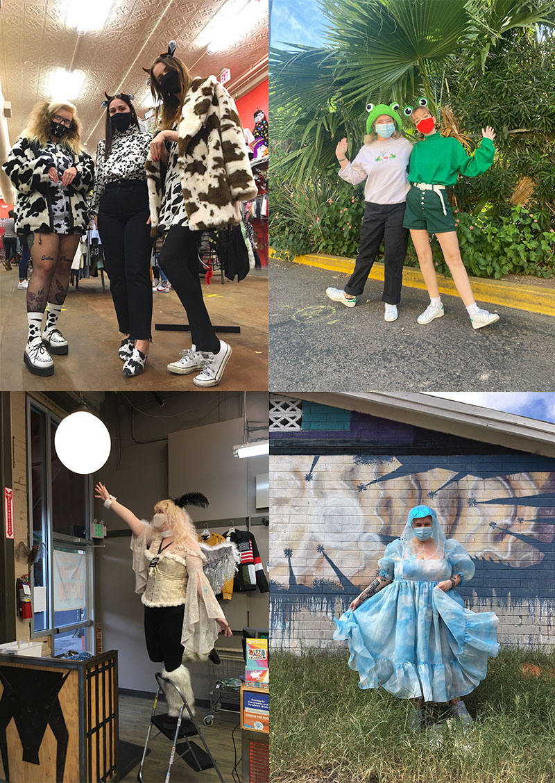Collage of cow, frog, jellyfish and moth Halloween costumes