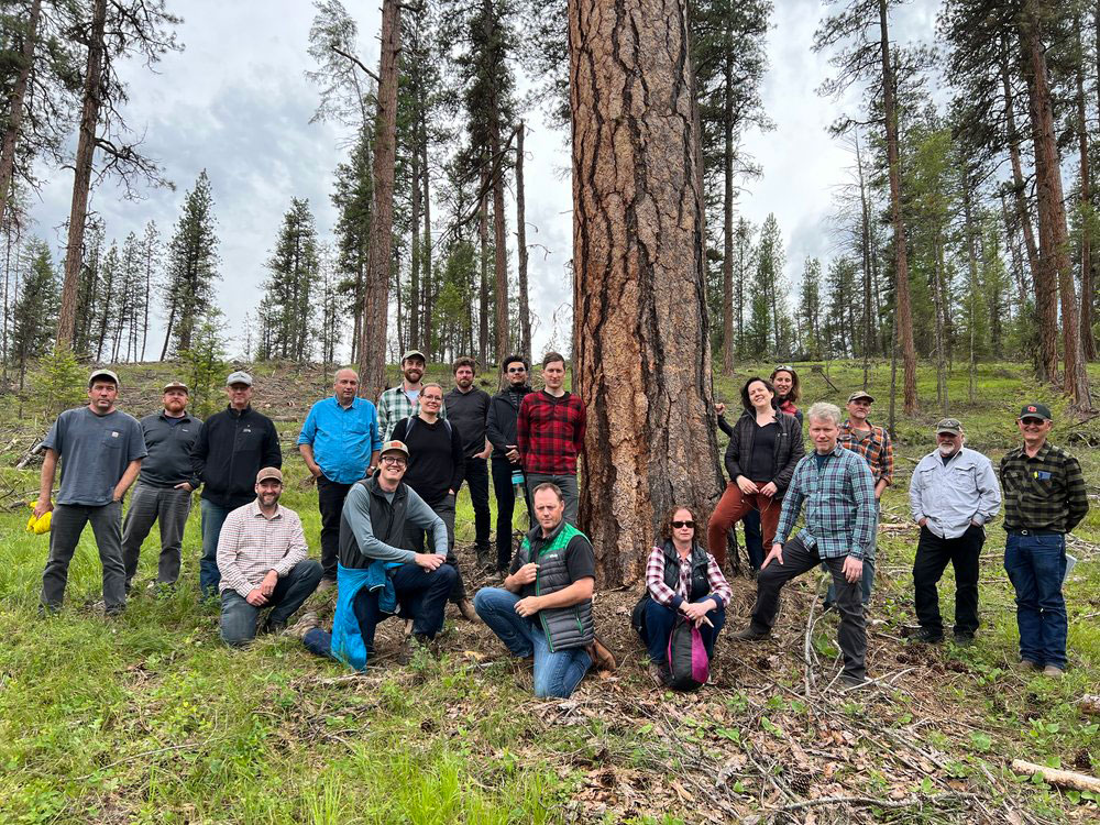 Group of people standing around a large tree with a forest of trees behind them