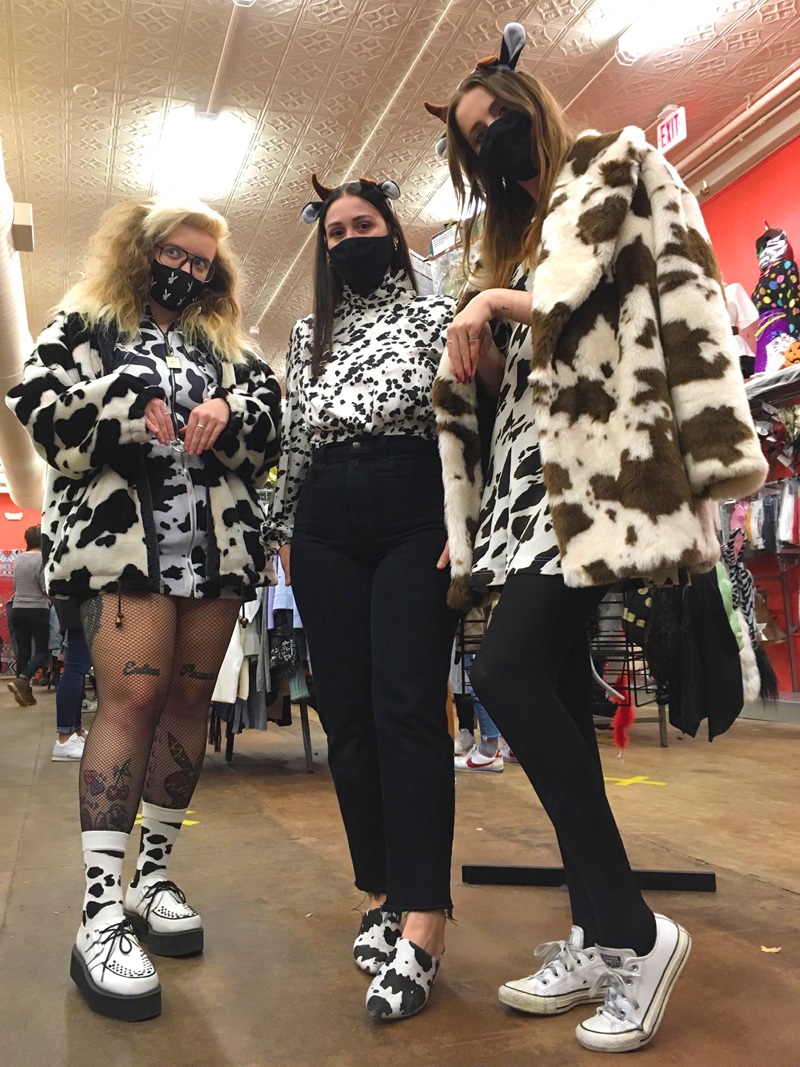 A group of people in cow costumes with cow ear headbands, and some variation of cow print faux fur coats, shirts, socks, and shoes.
