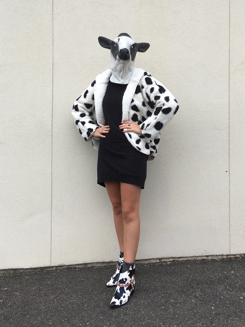 A person wearing a rubber cow animal mask, a cow print coat, a black dress, and western cow print ankle boots.