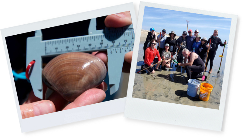 Two photos: A pismo clam, and a group of volunteers with Get Inspired