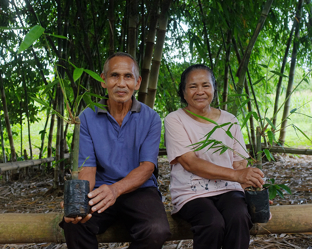 An elderly couple sit on a fallen tree while holding potted tree saplings