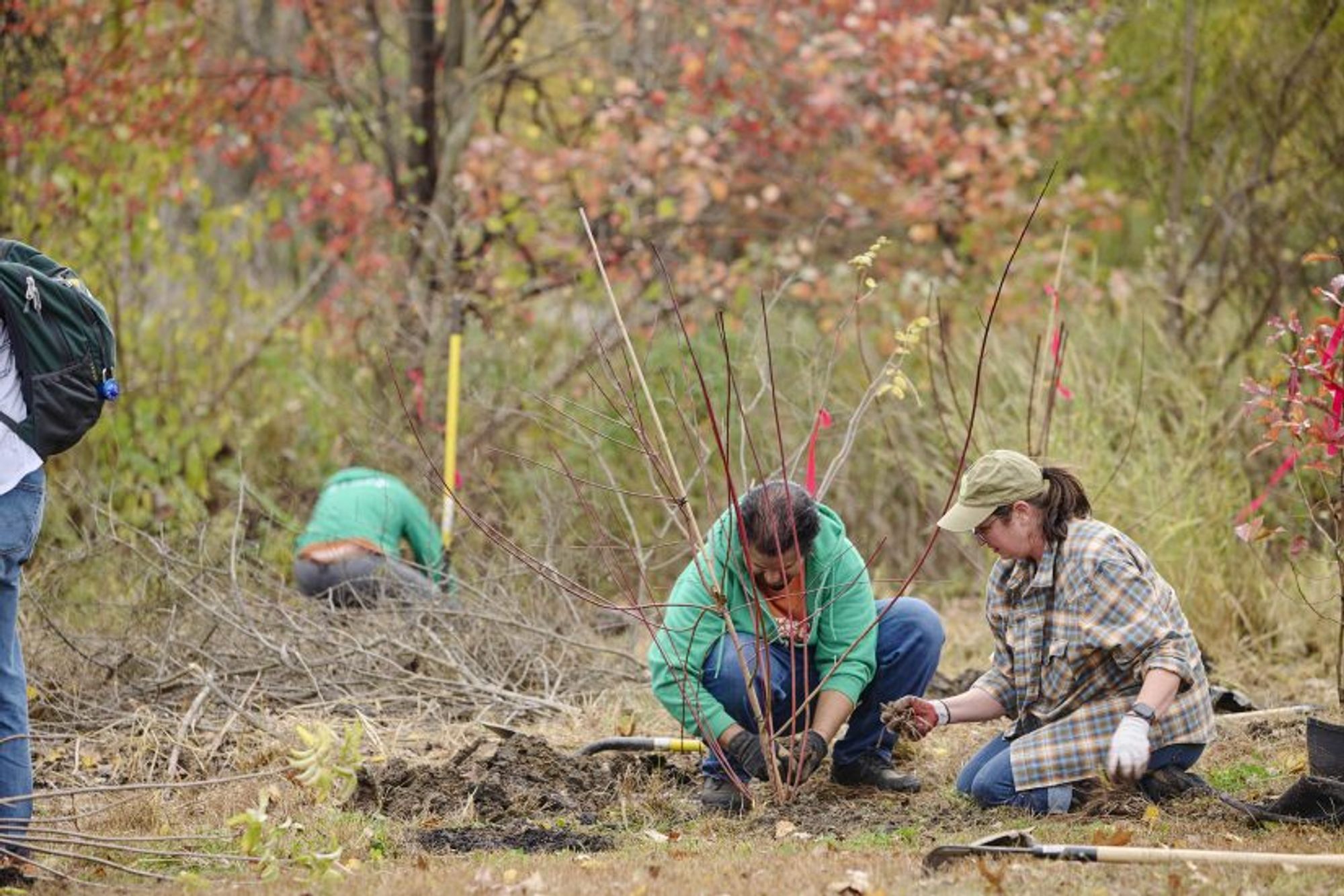 Volunteers planting trees with Fairmount Park Conservancy