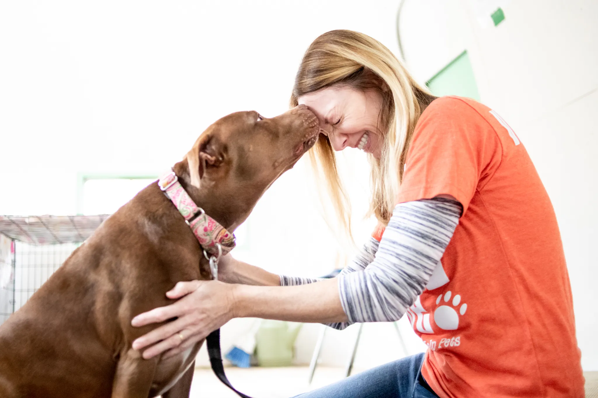 Dog licking caretaker's forehead