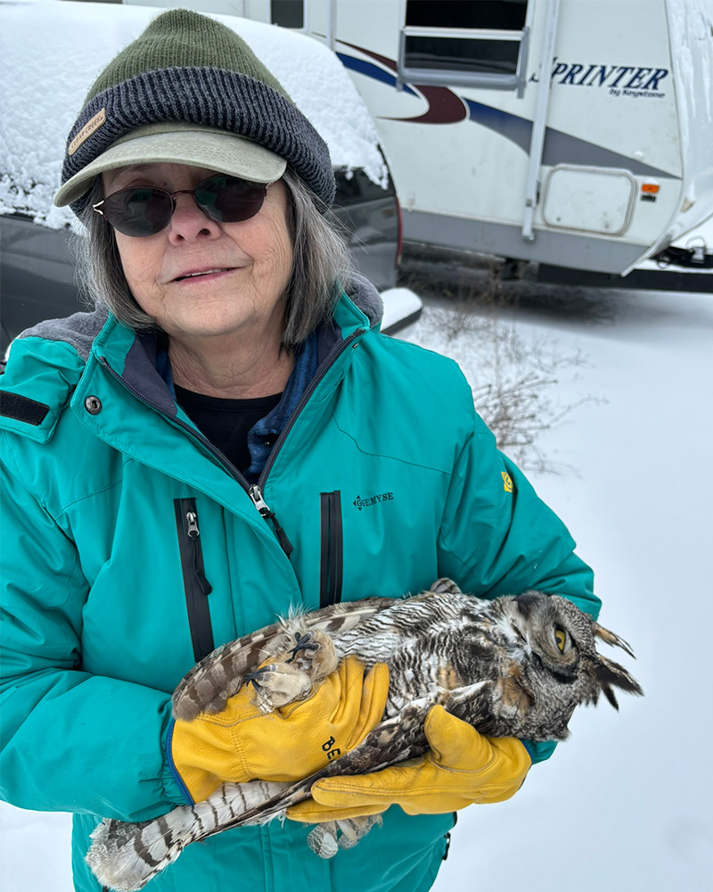 Spokane-Audubon-Society---Vertical Bea from Spokane Audubon Society carrying injured owl in her arms